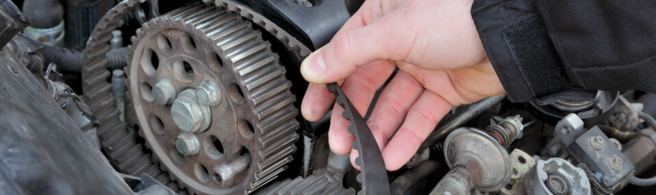 San Diego Timing Belt Replacement and Repair | Pacific Highway Auto Repair